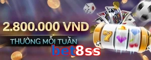 bet8ss