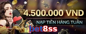 bet8ss