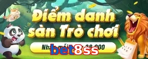 bet8ss