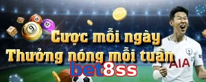 bet8ss